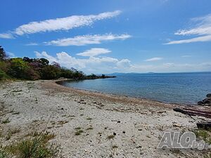 image_6