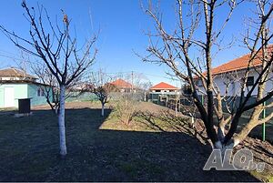 image_15