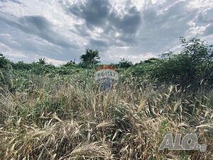 image_14