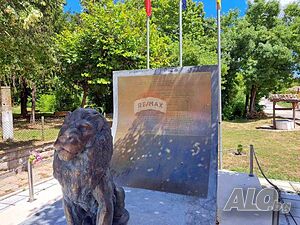 image_7