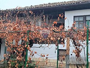 image_6