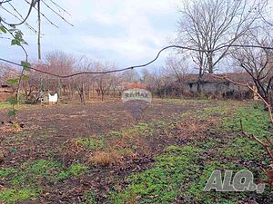 image_8