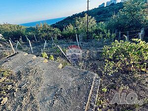image_12