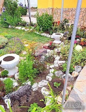 image_10