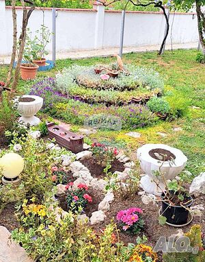 image_12