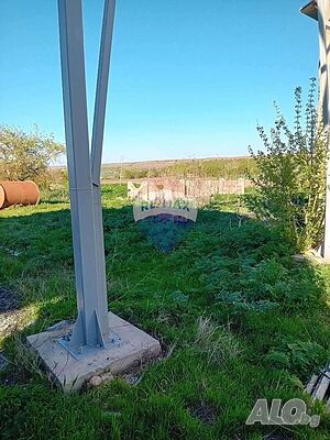 image_12