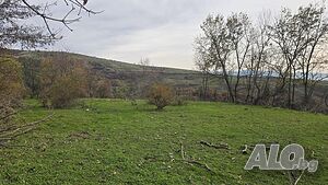 Земеделска земя-нива