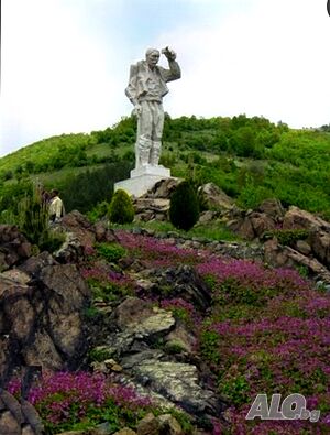 image_3