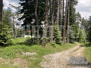 image_5