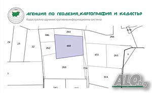 image_5