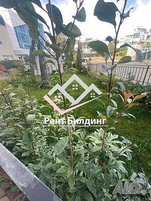 image_13
