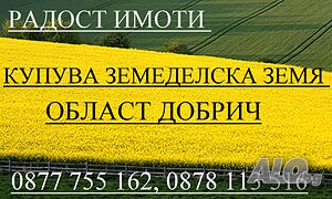16дка земеделска земя - с. Владимирово, област ДОБРИЧ Земеделска земя 16000 кв.м трета категория | Земеделска земя, градини, лозя, гора | Владимирово