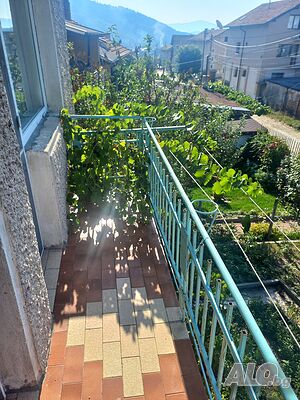 image_5