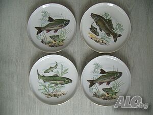 № 7968 стари германски порцеланови чинии - 4 броя - COLDITZ - илюстрации - риби