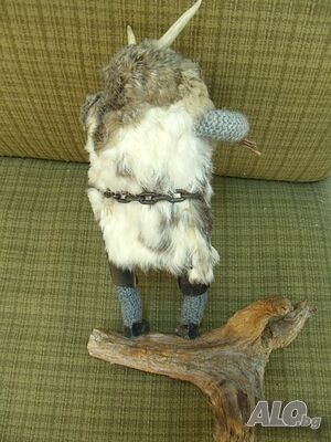 image_6