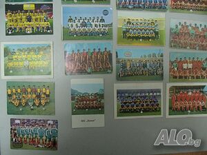image_8