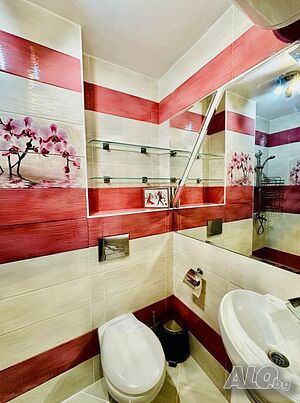 image_6