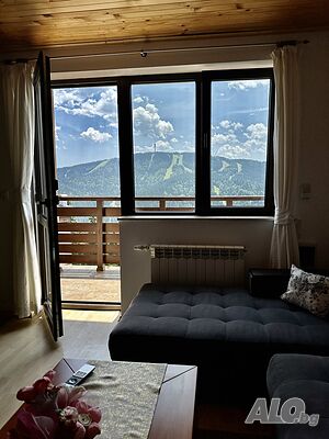 image_41