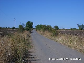 image_5