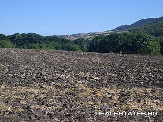 image_7