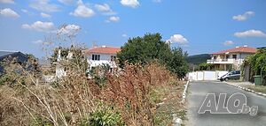 image_9