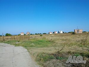 image_6