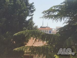 image_11