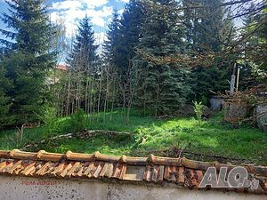 image_3