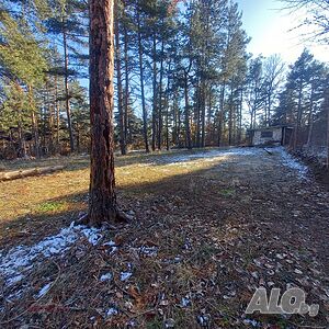 image_10