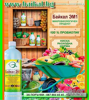 Микробиологичния пробиотик Байкал при отглеждане на зеленчуци