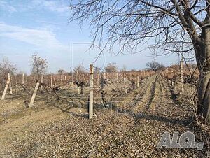 Продажба 2865 кв.м Не е в регулация