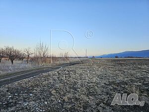 image_7