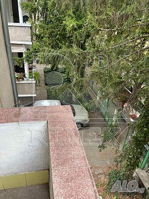 image_12