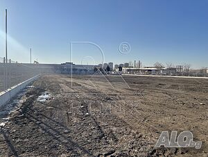 image_9