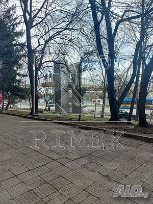 image_11