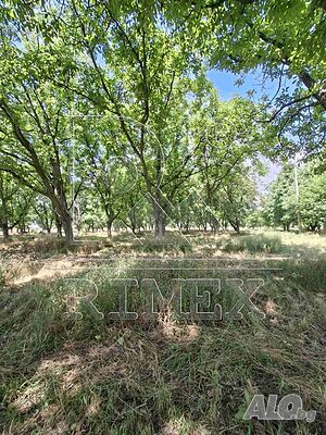 Продажба 2229 кв.м В регулация (УПИ)