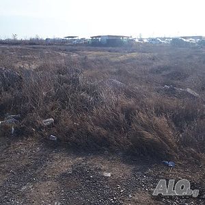 image_11
