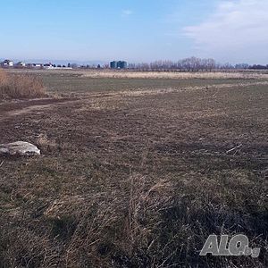 image_15