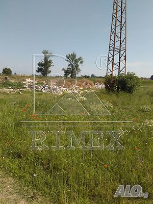 image_7