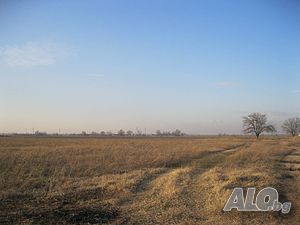 Продажба 8000 кв.м В регулация (УПИ) Без ток Без вода