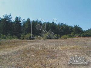 image_6