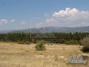 image_9