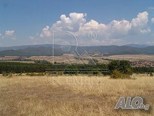 image_10