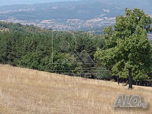 image_11
