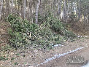 image_5