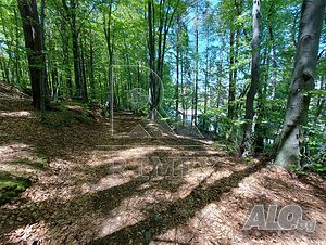 image_3