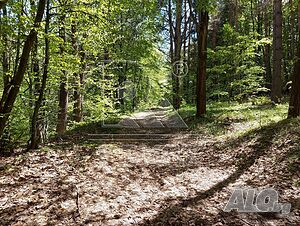 image_4