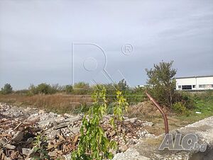 image_14