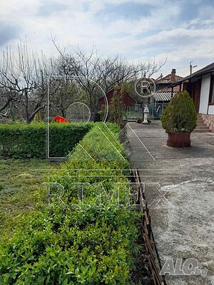 image_11