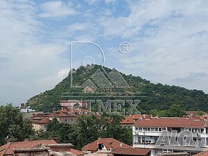 image_6